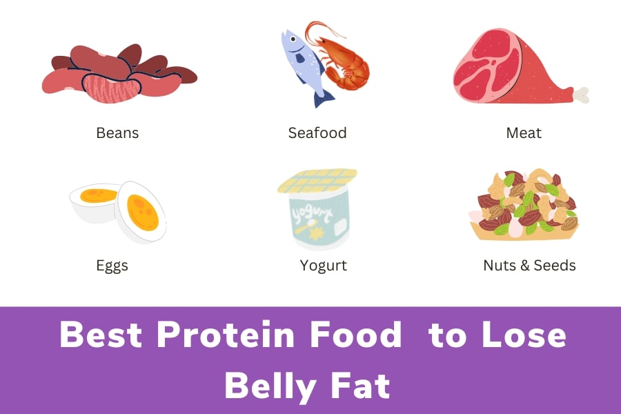 lose belly fat by consuming more protein - Mobility Hive